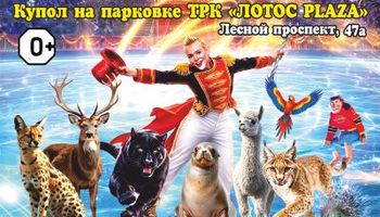 цирк на льду