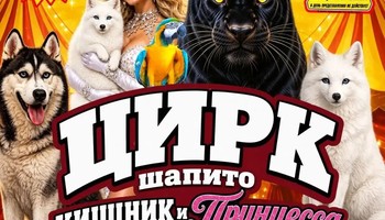 Цирк шапито "Хищник и принцесса цирка" в Невинномысске