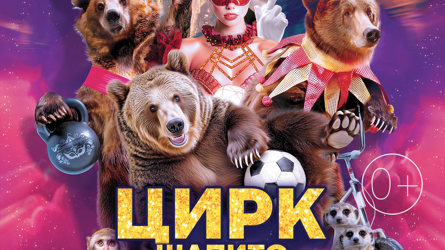Цирк шапито "Маска" в г. Бердск