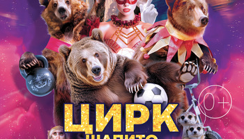 Цирк шапито "Маска" в г. Бердск