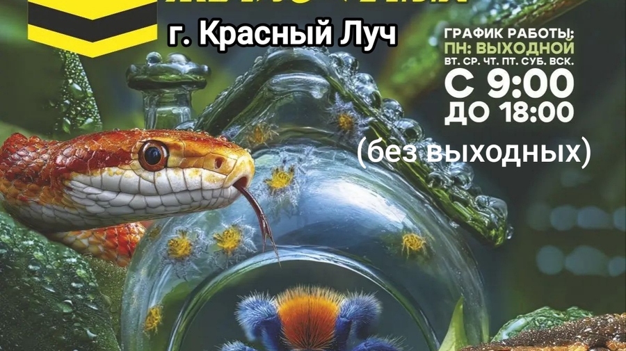 Выставка экзотических животных