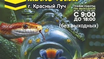 Выставка экзотических животных