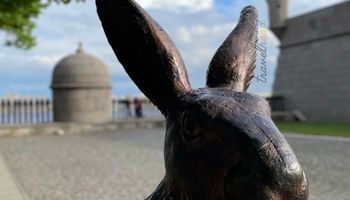 Петропавловка для детей: тайны крепости и загадочные зайцы