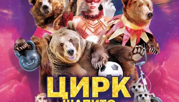 Цирк шапито "Маска" на стадионе "Фламинго"