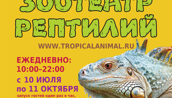Зоотеатр Рептилий в г.Санкт-Петербург ТРЦ "Жемчужная плаза"