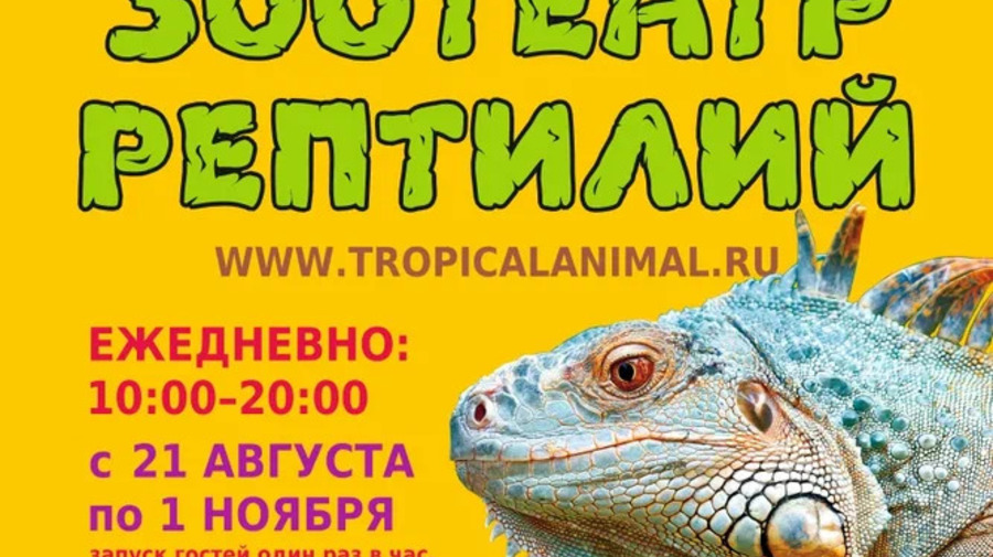 Зоотеатр Рептилий в г.Москва ТРЦ "МЕГА Теплый Стан"