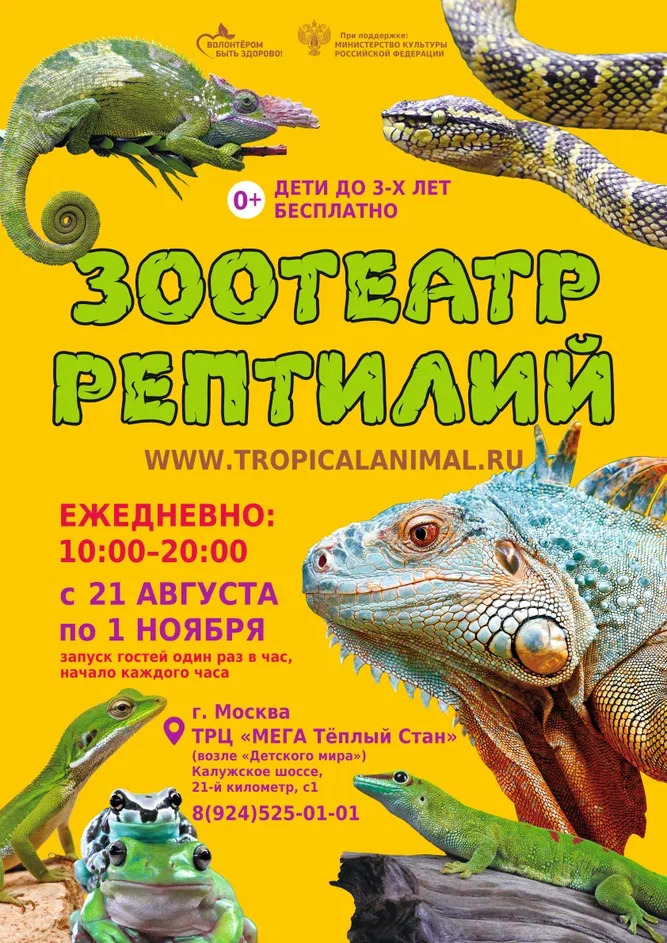 Зоотеатр Рептилий в г.Москва ТРЦ "МЕГА Теплый Стан"