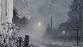 Ленобласть этой ночью уйдёт в минус: местами температура опустится до –1 °C.