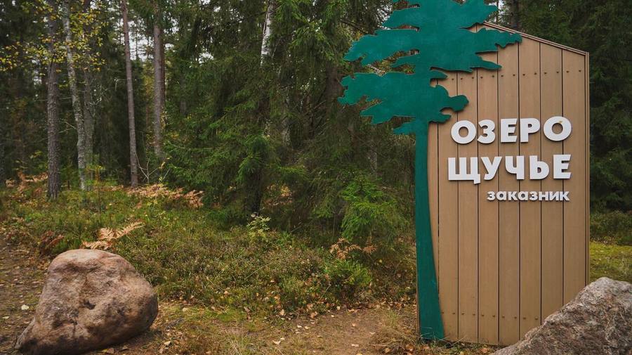 Шесть озёр за одну прогулку: под Петербургом открылась «Озёрная тропа»