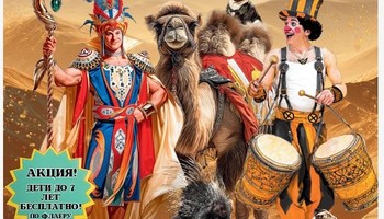 Цирк шапито "Феникс" в г. Тамбов