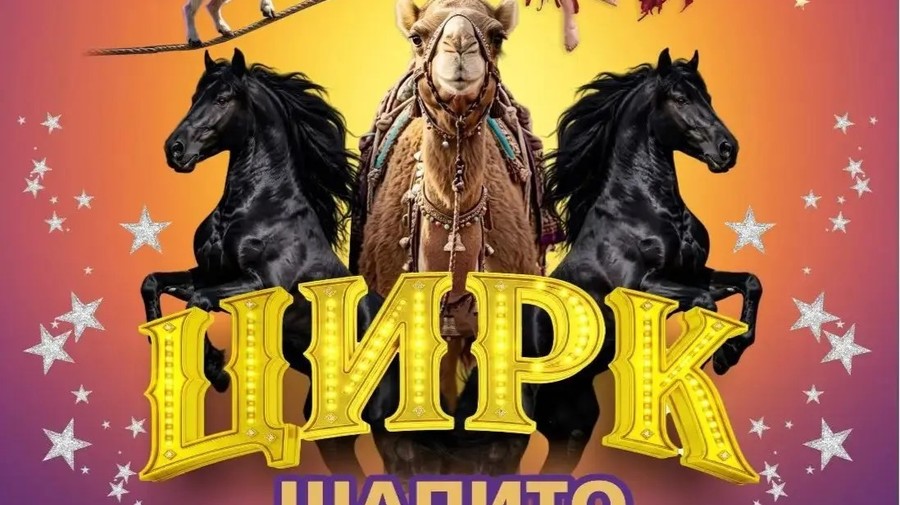 Цирк шапито "Звезда" В г. Городец