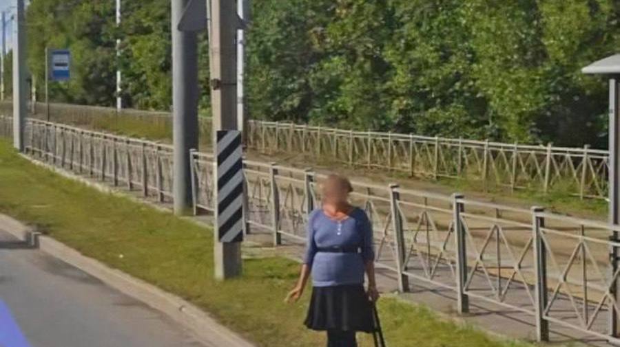 На Петергофском шоссе — своя история постоянства: по словам местных, одна «ночная бабочка» выходит на ту же точку уже 25 лет, пишет SHOT.
