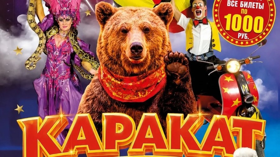 Цирк шапито "Каракат шоу" г. Железногорск