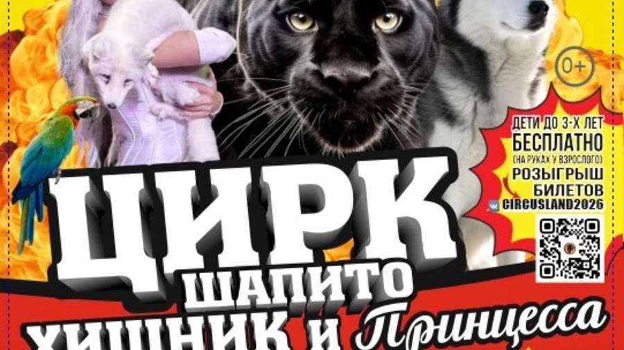 Цирк шапито "Хищник и принцесса цирка" в Нальчике