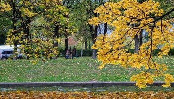 В Петербурге появились скверы имени Александра Демьяненко и знаменитых мореплавателей