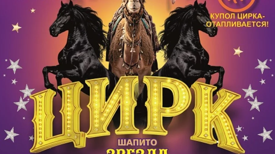Цирк шапито "Звезда" В г. Дзержинск
