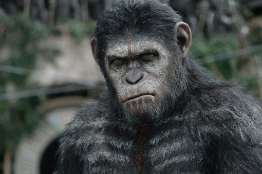 Кинопремьера недели: «Планета обезьян: Революция»