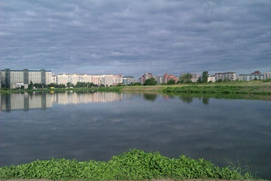 Озеро долгое спб. Долгое озеро Лобня. Озеро долгое Приморский район. Парк озеро долгое Санкт-Петербург. Озеро долгое Московская область.