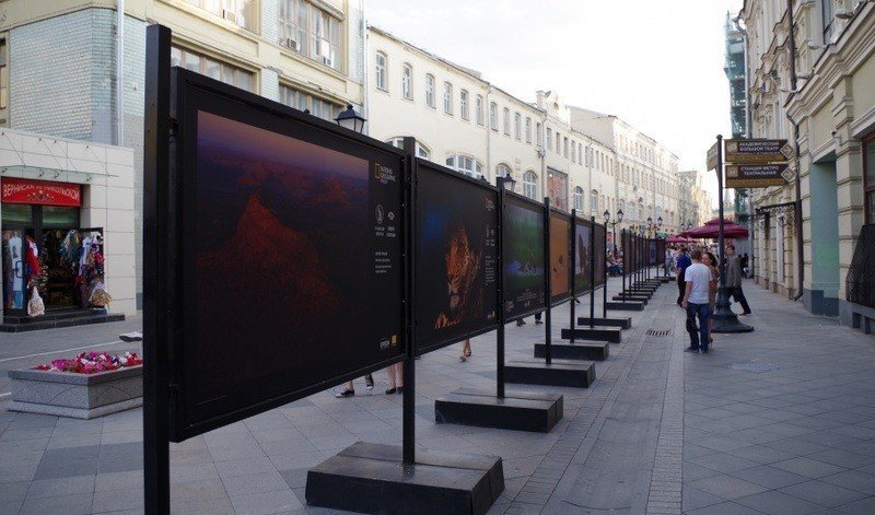 Фотовыставка «Совершенный взгляд. Совершенный мир», до 31 августа