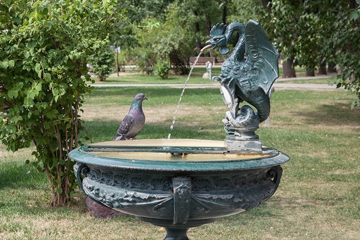Базельский фонтан-василиск в Саду им. Баумана