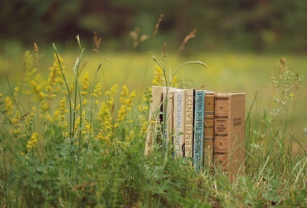 «Книжное воскресенье» в «Музеоне»