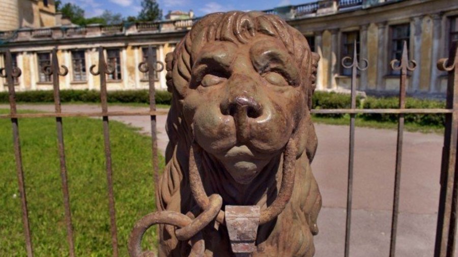 Откуда в Петербурге так много львов?