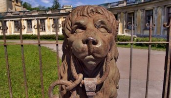 Откуда в Петербурге так много львов?