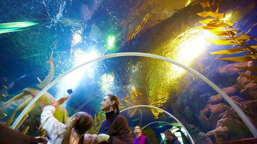 Аквариум Sea Life