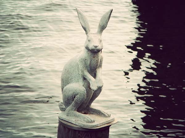 Надо знать: животные Петербурга