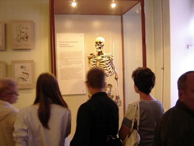 Скелет Буржуа