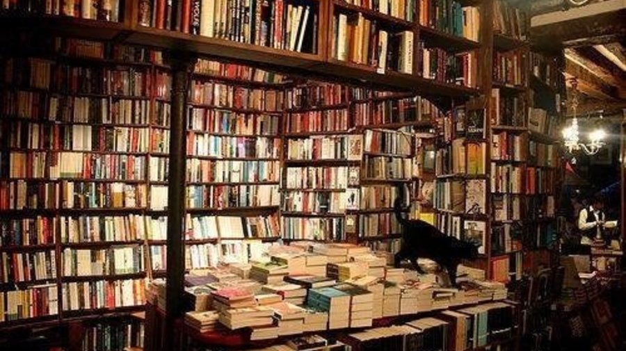 Топ-10 книжных магазинов, где продаются недорогие книги