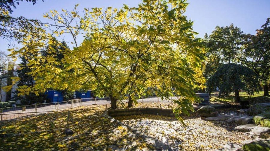 Осенний маршрут: 9 романтичных мест для прогулок