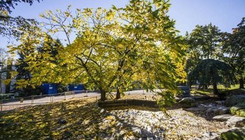 Осенний маршрут: 9 романтичных мест для прогулок
