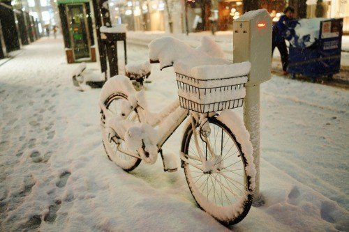В городе может появиться зимний велопрокат