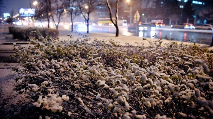 Ночью в Москве выпадет снег