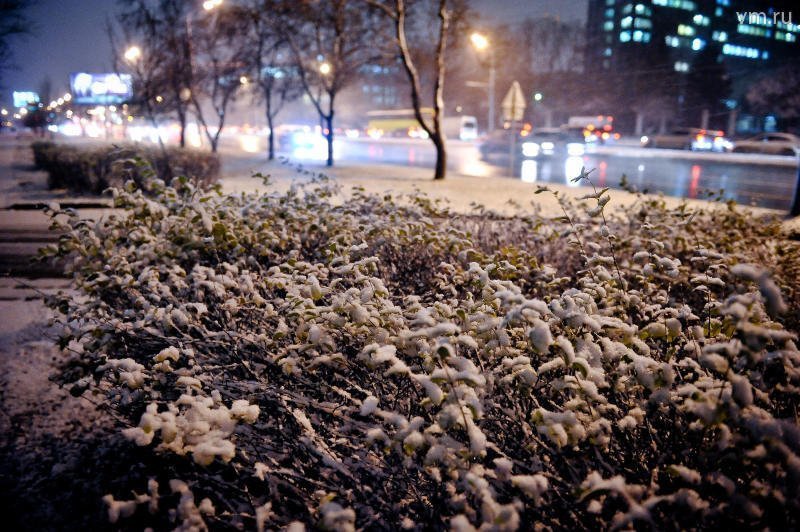 Ноябре выпадет снег. Первый снег в Москве. Москва в ноябре. Ноябрь снег Москва. Первый снегопад в Москве.