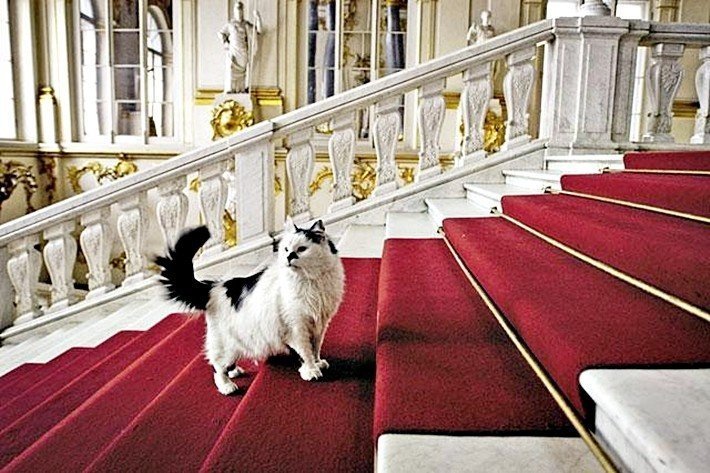 Выставка «Эрмитажные коты»