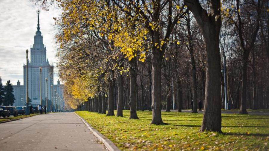 В Москву вернётся бабье лето 
