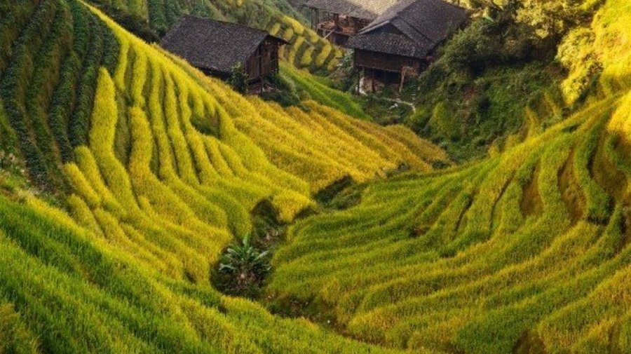 Фотовыставка Сергея Кузнецова «Планета Китай»