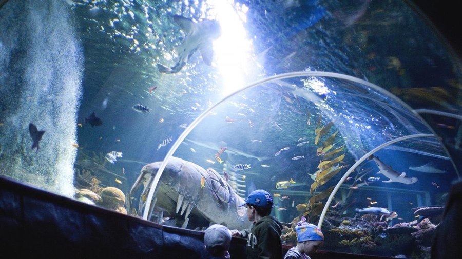 Аквариум Sea Life