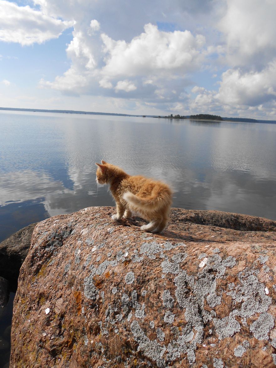 http://ecosovetnik.ru/