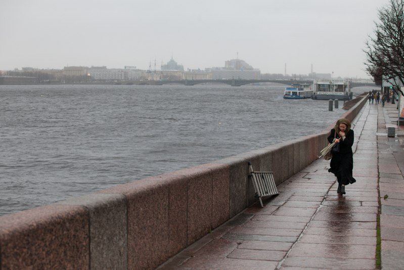 В Петербург пришел штормовой ветер