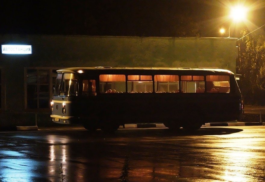 По Петербургу будет курсировать хэллоуинский автобус