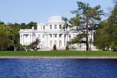 Петровская сосна на Елагином острове