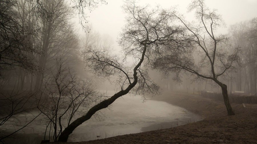 photocentra.ru