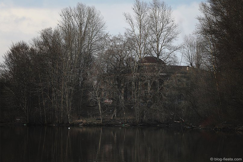 7 мест Красногвардейского района, где вы ни разу не бывали