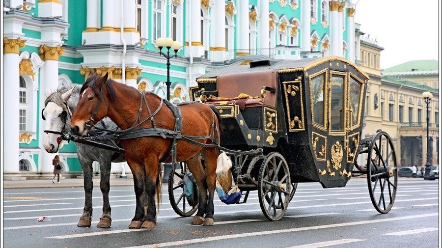 «Карету мне, карету!»: где в Петербурге покататься на карете