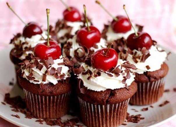Cupcake Factory