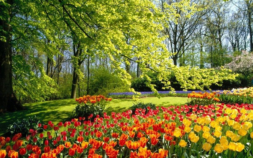Ботанический сад им И.М.Сеченова превратится в общедоступный городской парк