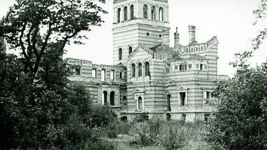 Дачу Николая II в Петергофе отреставрируют и превратят в культурный центр